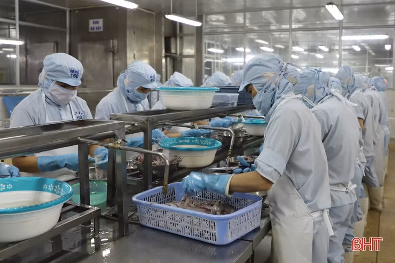 Dư nợ ngành Ngân hàng Hà Tĩnh ước đạt 93.200 tỷ đồng