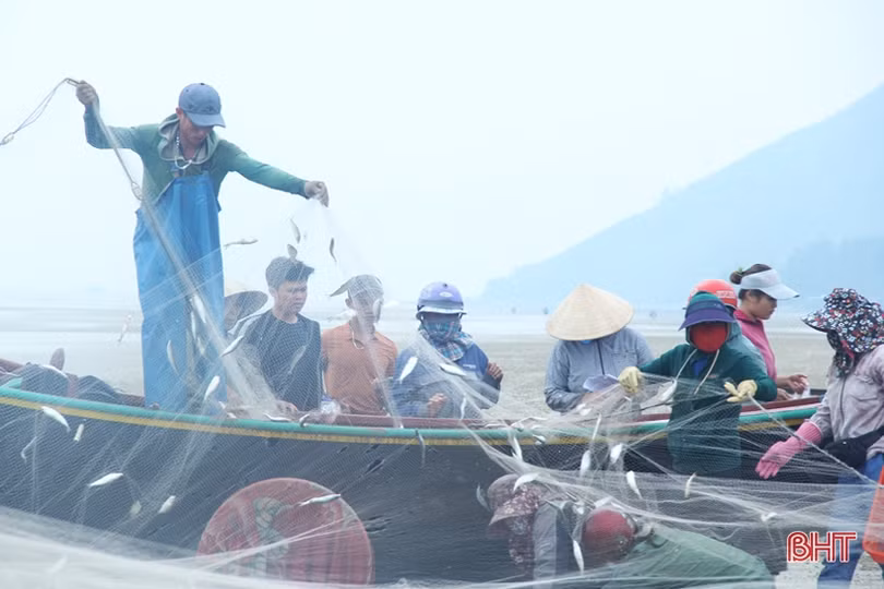 Ngư dân Hà Tĩnh mang về hơn 18.400 tấn “lộc biển”