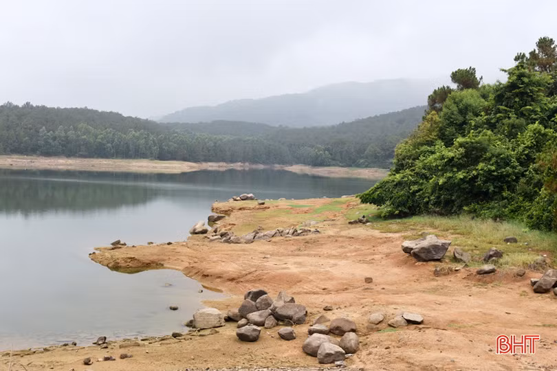Cần sớm nạo vét đập Đồng Hố để đảm bảo tưới, tiêu phục vụ sản xuất