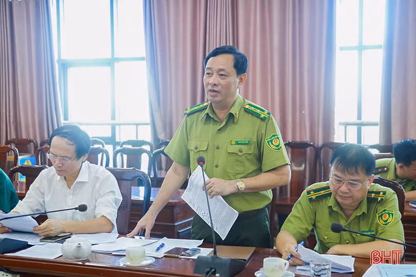 Hà Tĩnh đề nghị sớm bố trí đủ kinh phí thực hiện các chỉ tiêu, kế hoạch bảo vệ và phát triển rừng 