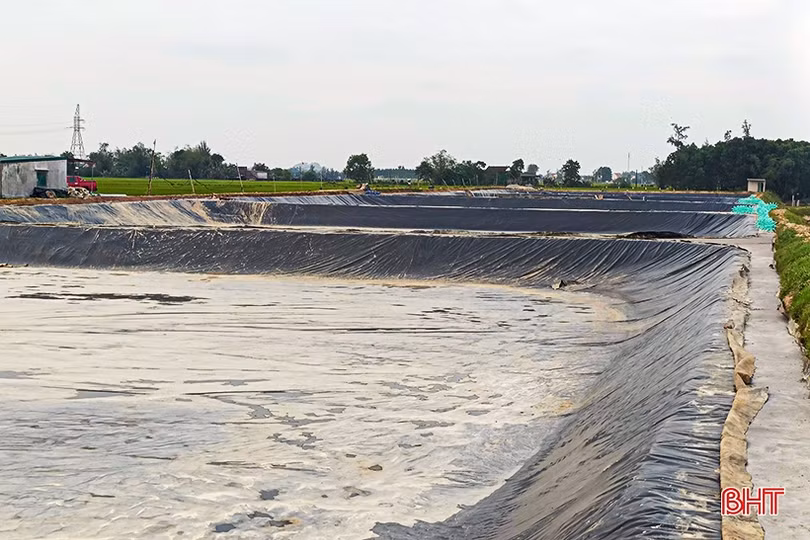 Giá tôm xuân hè ở Hà Tĩnh giảm mạnh