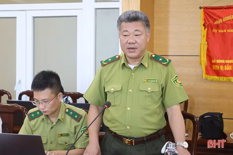 Hà Tĩnh đề nghị sớm bố trí đủ kinh phí thực hiện các chỉ tiêu, kế hoạch bảo vệ và phát triển rừng 
