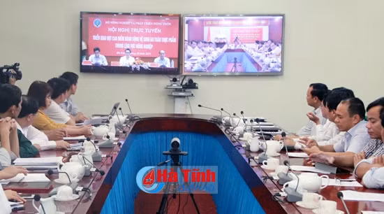 Tập trung triển khai tốt Đợt cao điểm VSATTP trong nông nghiệp ảnh 2 Tập trung triển khai tốt Đợt cao điểm VSATTP trong nông nghiệp ảnh 2