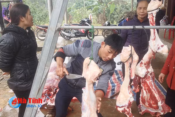 photo vui nhu dau thit lon an tet