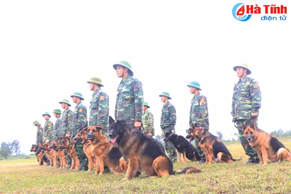 nhung mieng vo cua tro thu dac luc doi dac nhiem bdbp ha tinh
