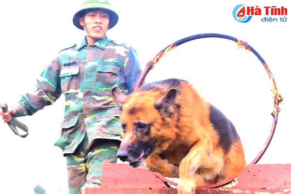 nhung mieng vo cua tro thu dac luc doi dac nhiem bdbp ha tinh