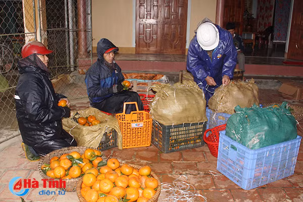 cam bu duoc gia nguoi trong phan khoi