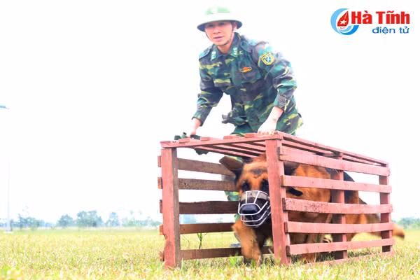 nhung mieng vo cua tro thu dac luc doi dac nhiem bdbp ha tinh