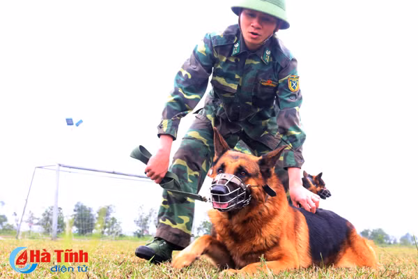nhung mieng vo cua tro thu dac luc doi dac nhiem bdbp ha tinh