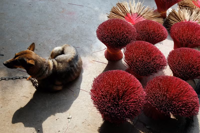 don tet mau tuat o viet nam qua ong kinh cac hang thong tan noi tieng