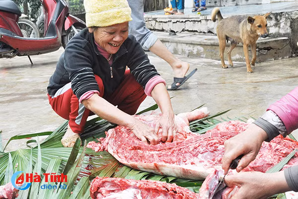 photo vui nhu dau thit lon an tet