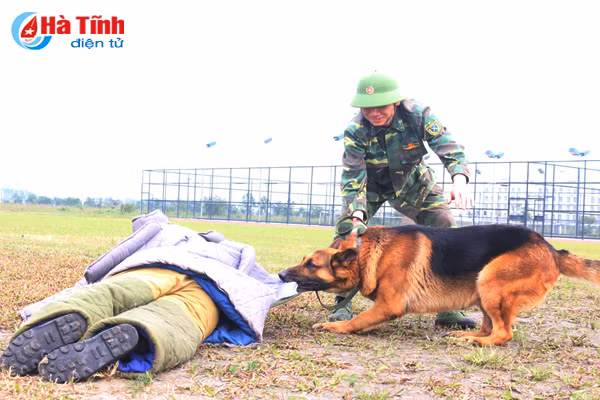 nhung mieng vo cua tro thu dac luc doi dac nhiem bdbp ha tinh