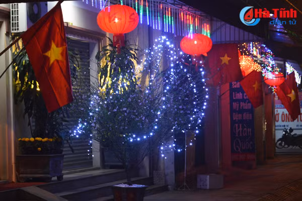 photo thanh sen lung linh sac mau don tet