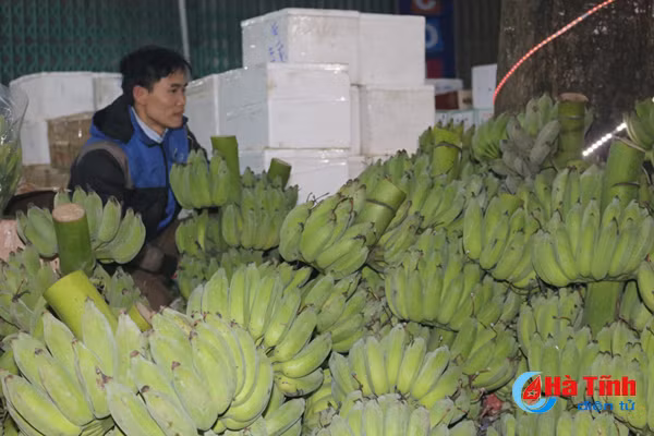 video nhon nhip cho dem ngay cuoi nam