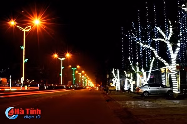 photo thanh sen lung linh sac mau don tet