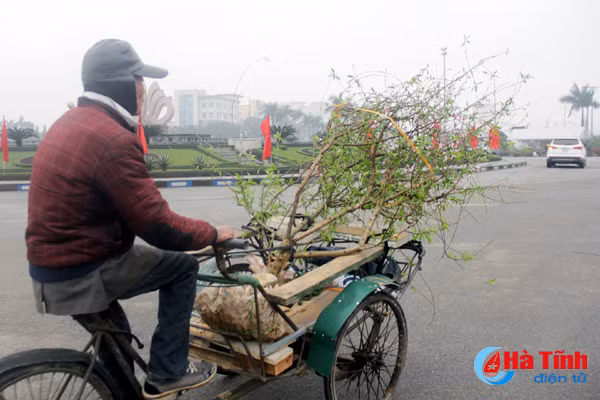 nhung dich vu hot bac ngay tet o ha tinh