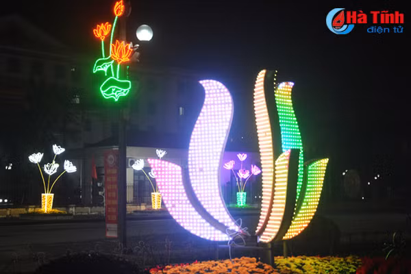 photo thanh sen lung linh sac mau don tet
