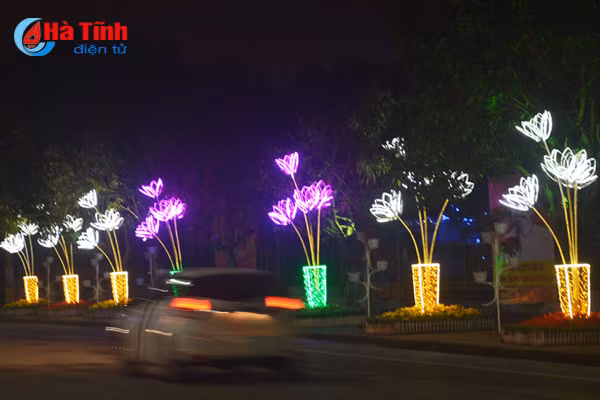 photo thanh sen lung linh sac mau don tet