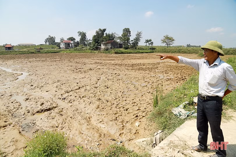 Tháo gỡ khó khăn, sớm đưa sản phẩm OCOP Hà Tĩnh bắt nhịp phát triển