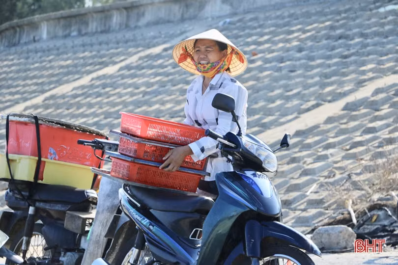Hơn 1 tuần, ngư dân ở Hà Tĩnh trúng đậm gần 10 tấn mực, thu 2,8 tỷ đồng