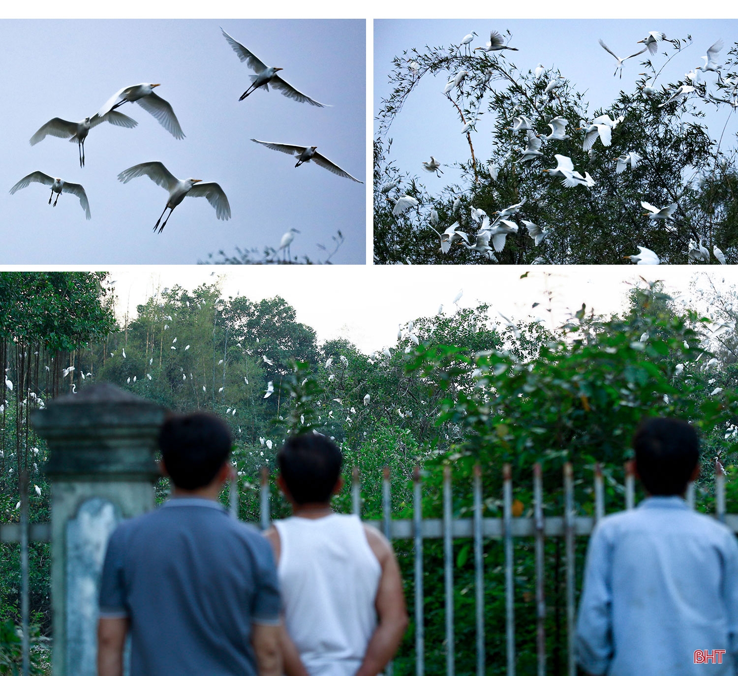 Có một U Minh thu nhỏ ở Hà Tĩnh!