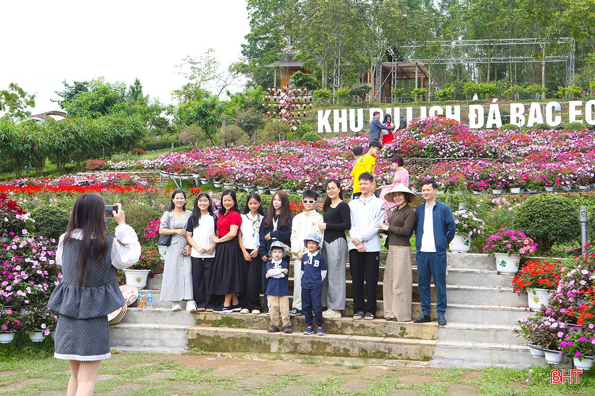 bqbht_br_a5-5635.jpg
