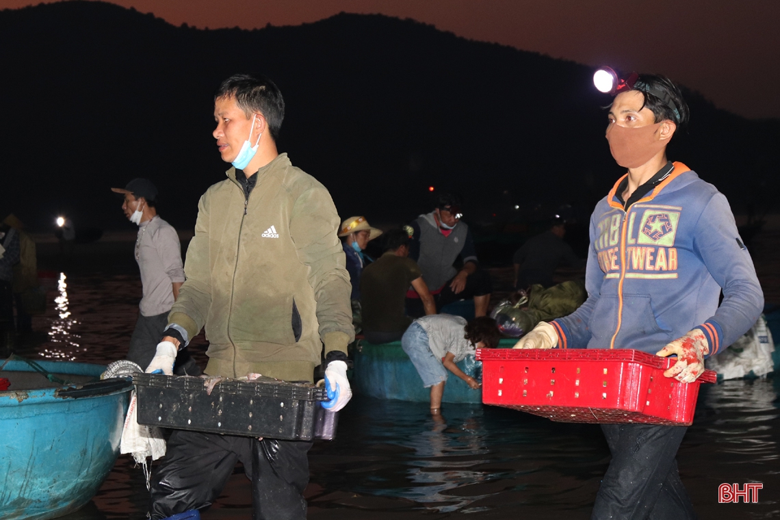 Về Hà Tĩnh đừng quên ghé chợ cá Cồn Gò!