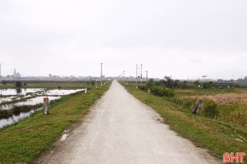 image-3.jpg