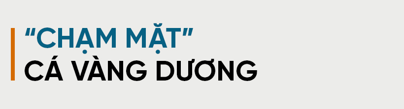 Nghe lão ngư Hà Tĩnh kể lại chuyện săn cá vàng dương
