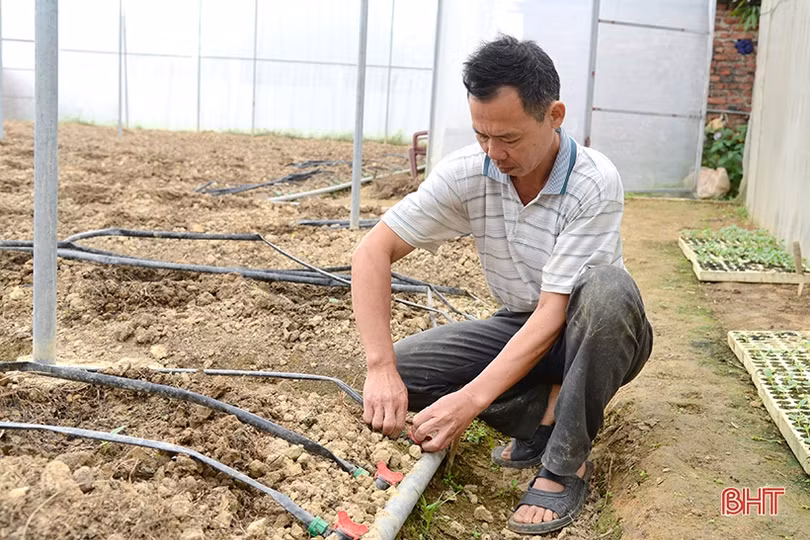 Về quê Hà Tĩnh “khởi nghiệp” ở tuổi ngũ tuần