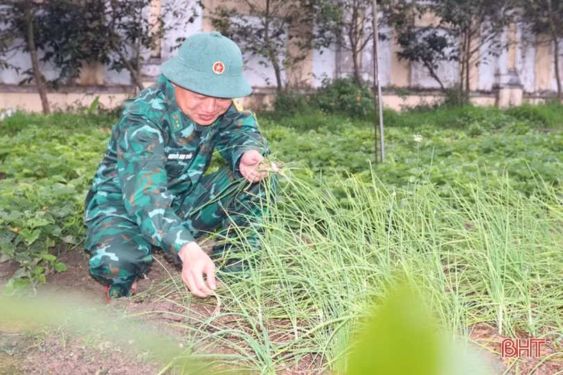 Chiến sỹ biên phòng vùng biển phía Nam tăng gia sản xuất, lao động