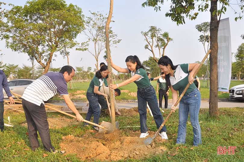 Vietcombank tài trợ TP Hà Tĩnh 250 triệu đồng trồng 1.000 cây hoa ban