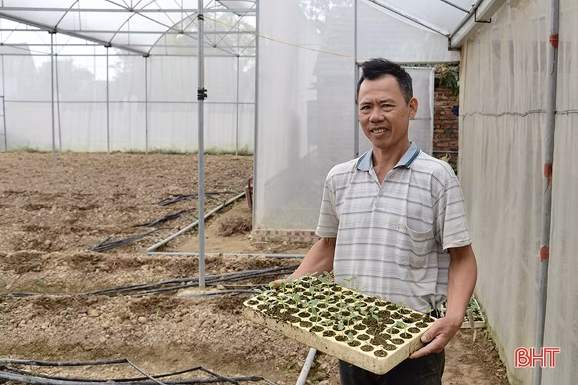 Về quê Hà Tĩnh “khởi nghiệp” ở tuổi ngũ tuần