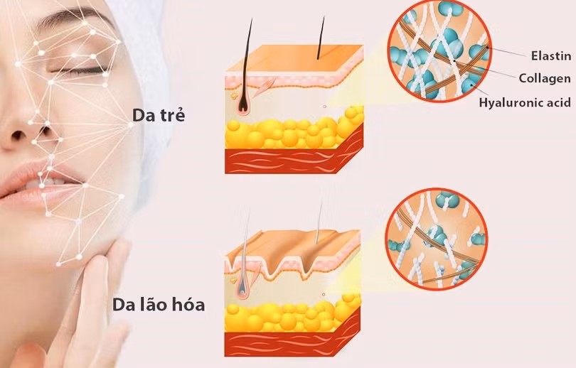 6 thói quen giúp ngăn lão hóa da sớm
