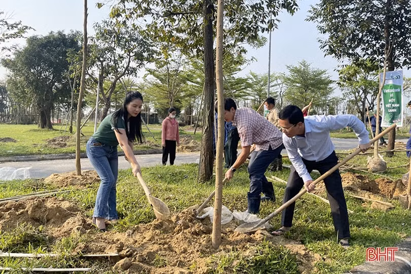 Vietcombank tài trợ TP Hà Tĩnh 250 triệu đồng trồng 1.000 cây hoa ban