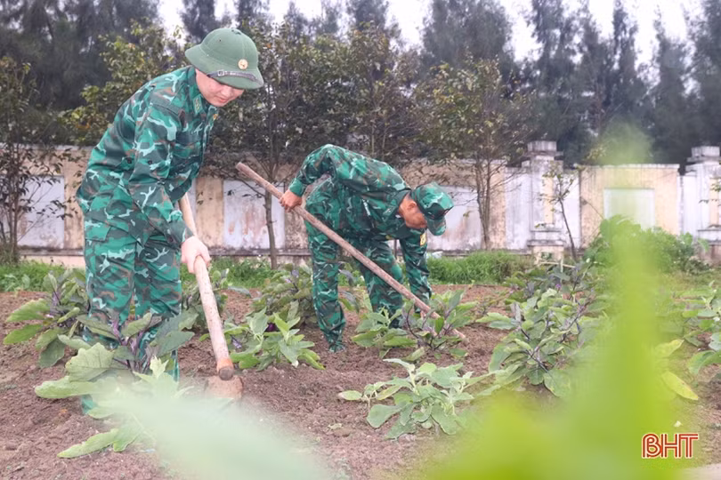 Chiến sỹ biên phòng vùng biển phía Nam tăng gia sản xuất, lao động