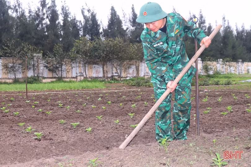 Chiến sỹ biên phòng vùng biển phía Nam tăng gia sản xuất, lao động