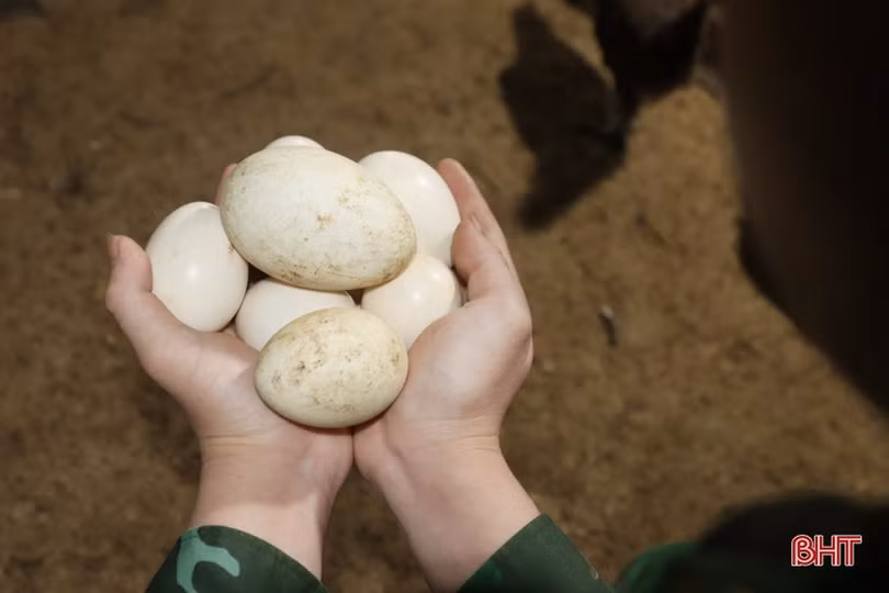 Chiến sỹ biên phòng vùng biển phía Nam tăng gia sản xuất, lao động