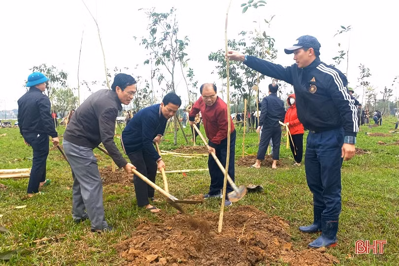 Trồng cây vì thành phố tương lai