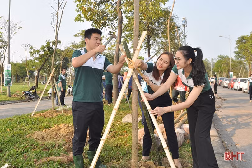Vietcombank tài trợ TP Hà Tĩnh 250 triệu đồng trồng 1.000 cây hoa ban