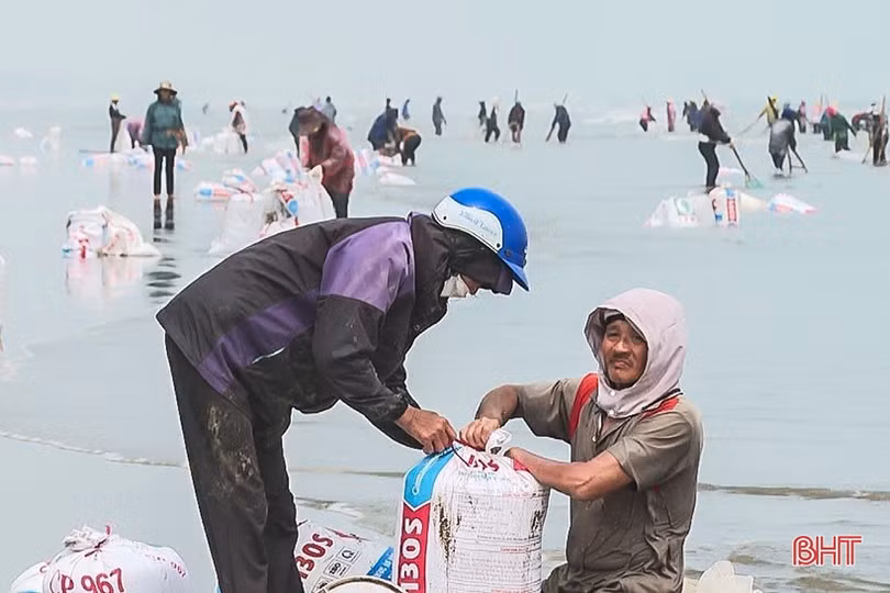 Người dân ven biển Lộc Hà “trúng đậm” ốc ruốc