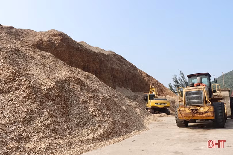 Xuất khẩu qua cụm cảng Vũng Áng – Sơn Dương tăng trưởng khả quan