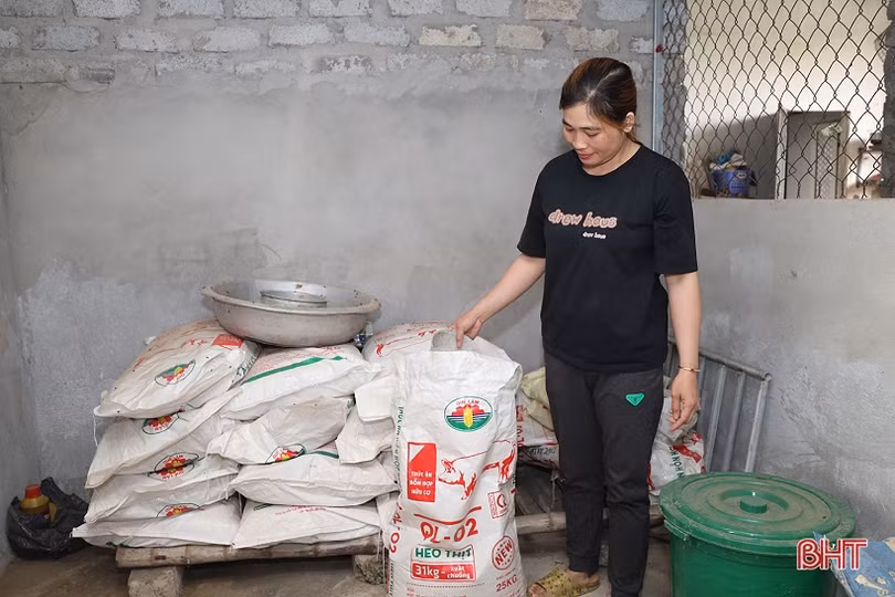 Lộc Hà thí điểm mô hình chăn nuôi lợn hữu cơ