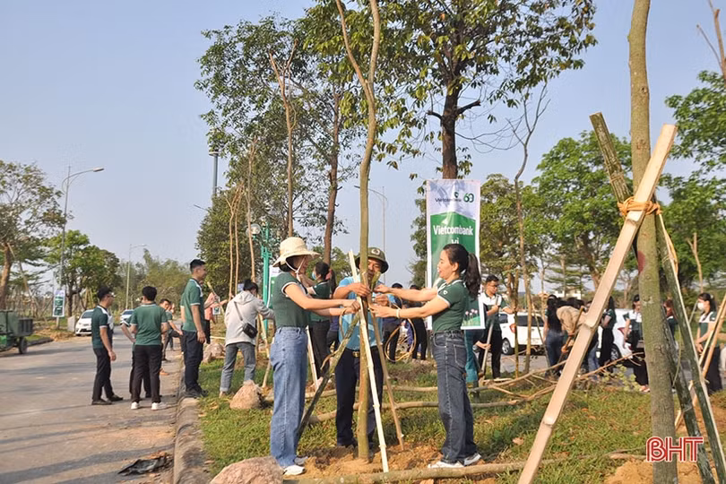 Vietcombank tài trợ TP Hà Tĩnh 250 triệu đồng trồng 1.000 cây hoa ban