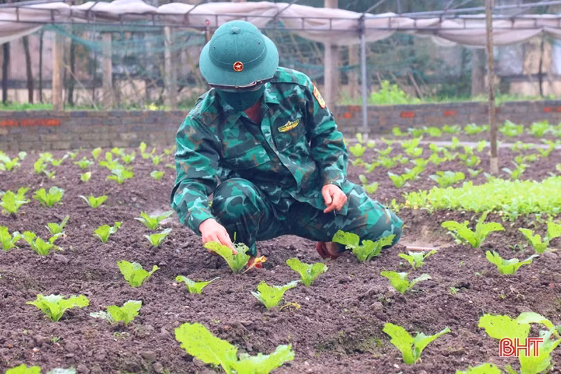 Chiến sỹ biên phòng vùng biển phía Nam tăng gia sản xuất, lao động