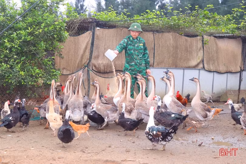 Chiến sỹ biên phòng vùng biển phía Nam tăng gia sản xuất, lao động