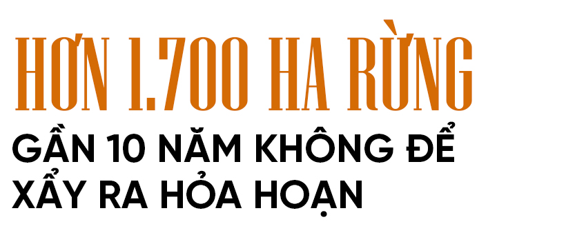 Thức cùng những cánh rừng giữa mùa nắng nóng ở Hà Tĩnh