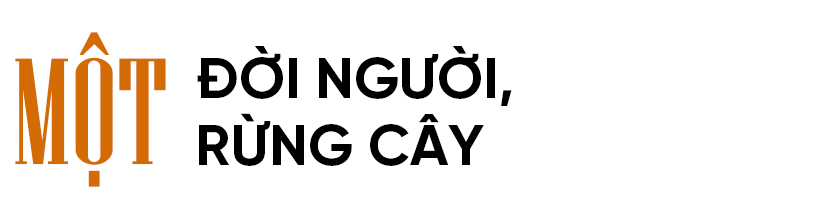 Thức cùng những cánh rừng giữa mùa nắng nóng ở Hà Tĩnh