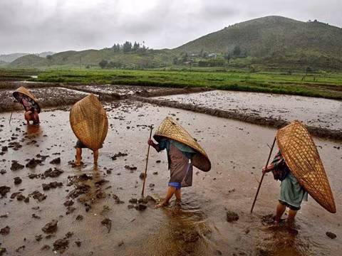4 vùng đất kỳ lạ quanh năm sống chung với mưa