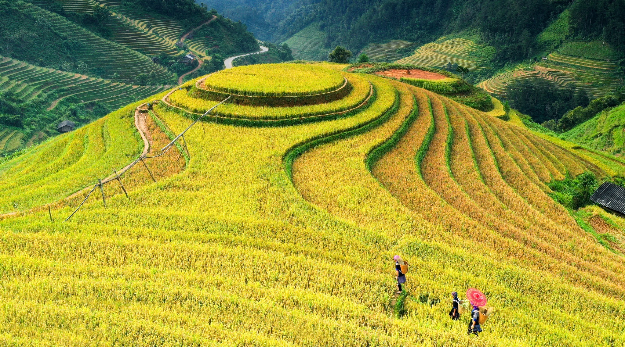 Cảnh sắc Việt Nam qua góc chụp trên cao